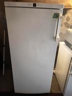 Diepvries kast, Gebruikt, 140 tot 160 cm, Ophalen, Vrieskast