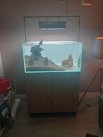 Aquascape set compleet 90X60X45, Zo goed als nieuw, Ophalen, Leeg aquarium