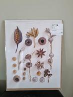Ikea poster, Ophalen of Verzenden, Nieuw, Foto of Poster, 50 tot 75 cm