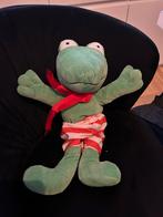 Kikker en zijn vriendjes knuffel kikker, Ophalen of Verzenden, Zo goed als nieuw, Kikker