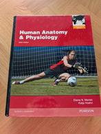 Human Anatomy & Physiology - Marieb, Hoehn - 9e editie, Gelezen, Elaine N. Marieb, Katja Hoehn, Ophalen of Verzenden, Beta