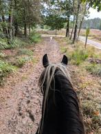 Bosrit buitenrit paardrijden, Ophalen of Verzenden