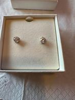 Prachtige swarovski oorstekers, Met kristal, Wit, Nieuw, Ophalen of Verzenden