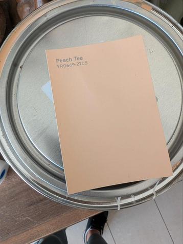 Gamma muurverf mat peach tea  beschikbaar voor biedingen