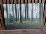 Canvas: 'sprookjesbos', Ophalen