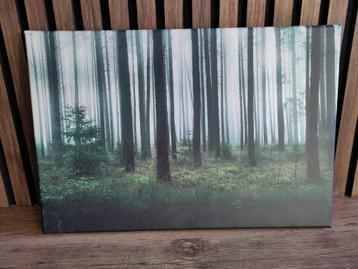 Canvas: 'sprookjesbos' beschikbaar voor biedingen