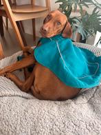 Ruffwear maat s winterjas, Dieren en Toebehoren, Ophalen of Verzenden, Gebruikt, Hondenjas