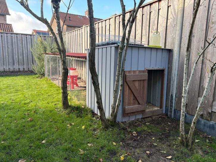 Kippenhok eendenhok met ren te koop, Dieren en Toebehoren, Pluimvee | Toebehoren, Gebruikt, Kippenhok of Kippenren, Ophalen