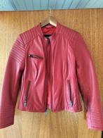 Rode leren jas maat M, Kleding | Dames, Jassen | Zomer, Ophalen of Verzenden, Zo goed als nieuw, Maat 38/40 (M), Rood