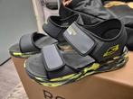 Skechers Schoenen Maat 37 - Nieuw!, Ophalen, Jongen of Meisje, Schoenen, Nieuw