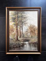 Schilderij bos, Antiek en Kunst, Ophalen