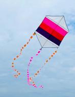 Rokkaku vlieger japans model, Ophalen of Verzenden, Gebruikt, Eenlijns, Vlieger