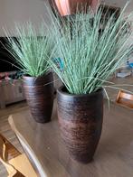 2 planten incl. vaas, Ophalen, Zo goed als nieuw, Binnen