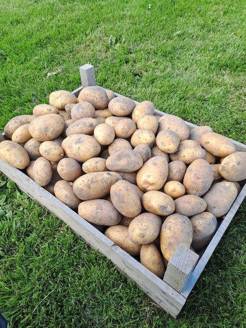 Lekkere eet aardappelen, Diversen, Levensmiddelen, Ophalen