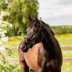 stalhulp/verzorger gezocht (omgeving Houten), Ophalen of Verzenden, Nieuw