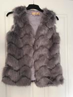 Goldie Estelle, bodywarmer maat M, Kleding | Dames, Ophalen of Verzenden, Zo goed als nieuw, Maat 38/40 (M), Grijs