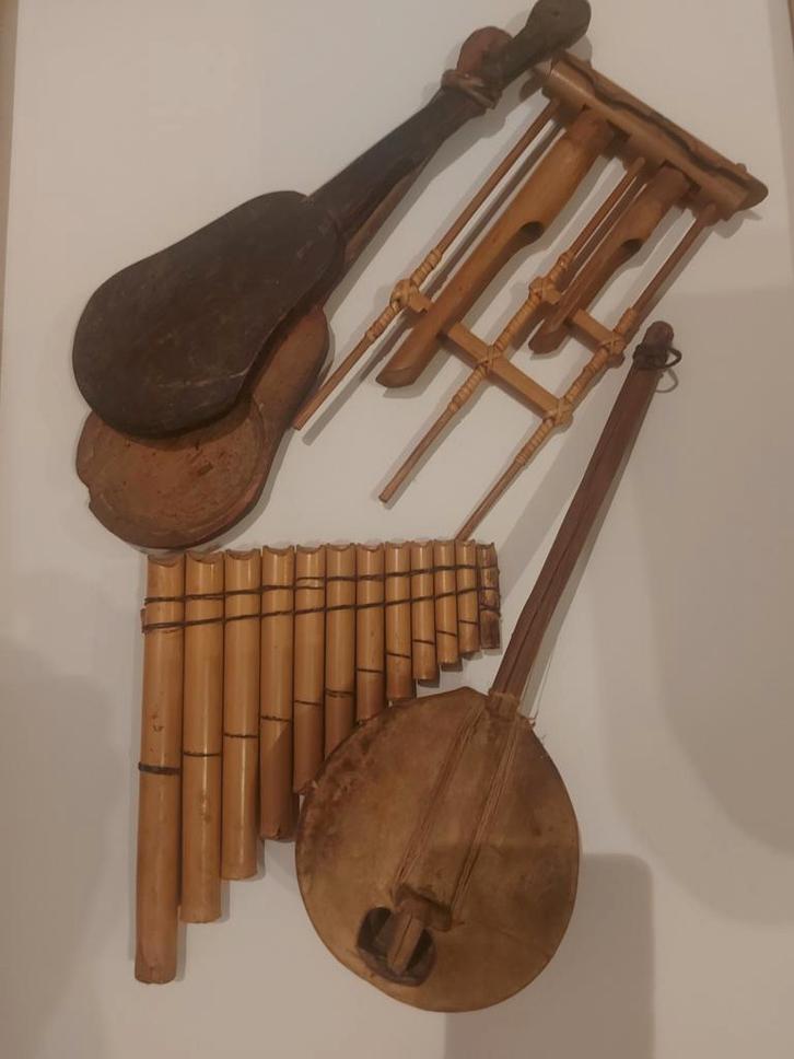 Collectie van diverse muziekinstrumenten, Muziek en Instrumenten, Overige Muziek en Instrumenten, Gebruikt, Ophalen of Verzenden