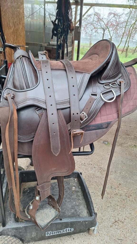Zeer complete Edix Equis maat M, Dieren en Toebehoren, Paarden en Pony's | Zadels, Western, Ophalen of Verzenden