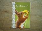 Eekhoorn met paardenbloem bloem, Verzenden, Voor 1920, Hond of Kat
