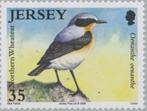Postzegel Jersey 2008: vogel 37 - tapuit, Ophalen of Verzenden, Gestempeld