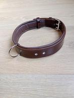 Nieuwe honden halsband, Dieren en Toebehoren, Ophalen of Verzenden, Nieuw