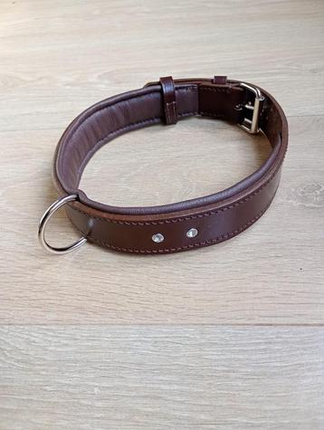Nieuwe honden halsband  beschikbaar voor biedingen