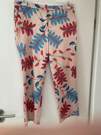 Prachtige Marccain broek maat 5, Ophalen of Verzenden, Zo goed als nieuw