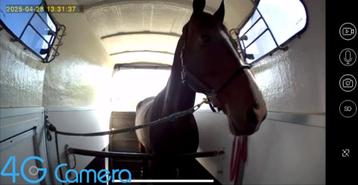 4G On Spot trailercamera beschikbaar voor biedingen