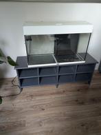 Juwel rio 125, Dieren en Toebehoren, Vissen | Aquaria en Toebehoren, Ophalen of Verzenden, Zo goed als nieuw, Leeg aquarium