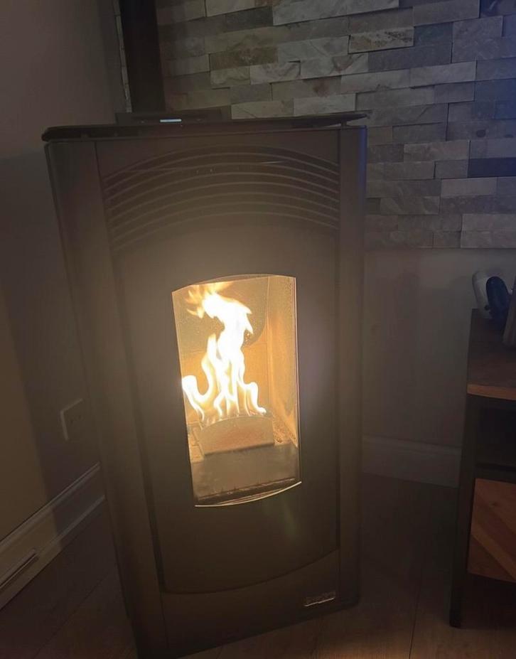 Pelletkachel + 2 zakken pellets – Klaar voor de winter!, Huis en Inrichting, Kachels, Nieuw, Pelletkachel, Overige brandstoffen