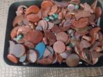 Zeer groot lot oranje carneool cabochons en ornamenten, Sieraden, Tassen en Uiterlijk, Edelstenen, Ophalen of Verzenden, Zo goed als nieuw