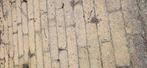 Klinkers 20cmx7cmx5cm, Tuin en Terras, Tegels en Klinkers, Ophalen of Verzenden, Gebruikt, Beton, Klinkers