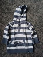 Z8 trui maat 80 nette staat, Kinderen en Baby's, Babykleding | Maat 80, Truitje of Vestje, Z8, Ophalen of Verzenden, Zo goed als nieuw