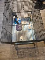 Mooi hok, Dieren en Toebehoren, Kooi, Hamster, Minder dan 75 cm, Zo goed als nieuw