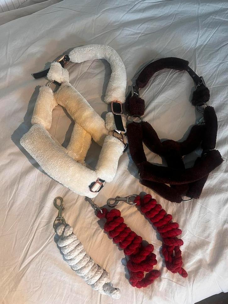 Partij paardenspullen, Dieren en Toebehoren, Paarden en Pony's | Dekens en Dekjes, Zo goed als nieuw, Ophalen of Verzenden