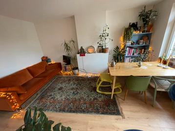 Dutchbone Bid vloerkleed 240 x 170 cm beschikbaar voor biedingen