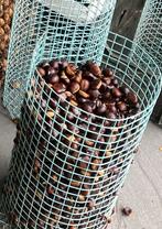 Overheerlijke tamme kastanjes 2025, Ophalen