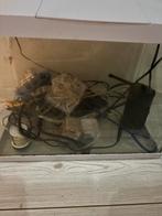 Vis bak met acceswares, Verzenden