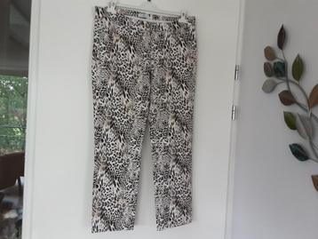 Z.G.A.N Damesbroek/ Pantalon.  beschikbaar voor biedingen