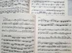 Schubert. Dwarsfluit / Piano. Trockne Blumen aus Die Schöne, Muziek en Instrumenten, Bladmuziek, Klassiek, Ophalen of Verzenden