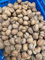 Verse Walnoten droog, Ophalen of Verzenden