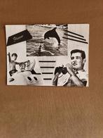 Flipper, de Dolfijn., Ophalen of Verzenden, 1960 tot 1980, Gelopen, Cultuur en Media