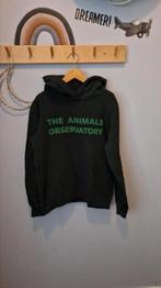 Donkergroene The Animals Observatory hoodie maat 12 jaar., Gebruikt, Trui of Vest, Ophalen of Verzenden, Jongen of Meisje