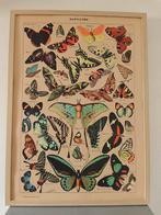 Vintage vlinder schilderij op hout, Antiek en Kunst, Ophalen of Verzenden