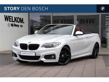 BMW 2 Serie Cabrio 220i High Executive M Sport Automaat / Sp beschikbaar voor biedingen