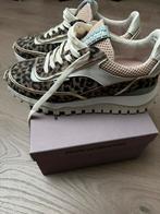 Floris van Bommel panterprint maat 38, Ophalen of Verzenden, Zo goed als nieuw, Bruin, Sneakers of Gympen
