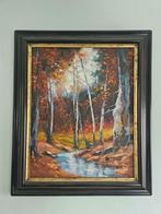 Mooi schilderij, Antiek en Kunst, Ophalen of Verzenden