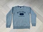 ZGAN: Grijze sweater van Mc Gregor maat 164 / 14 jaar, McGregor, Trui of Vest, Ophalen of Verzenden, Zo goed als nieuw