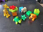 Duplo wilde dieren, Kinderen en Baby's, Speelgoed | Duplo en Lego, Ophalen, Zo goed als nieuw, Complete set, Duplo