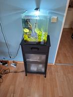 Dennerle Nano Cube - 30 liter, Dieren en Toebehoren, Vissen | Aquaria en Toebehoren, Ophalen, Zo goed als nieuw, Leeg aquarium